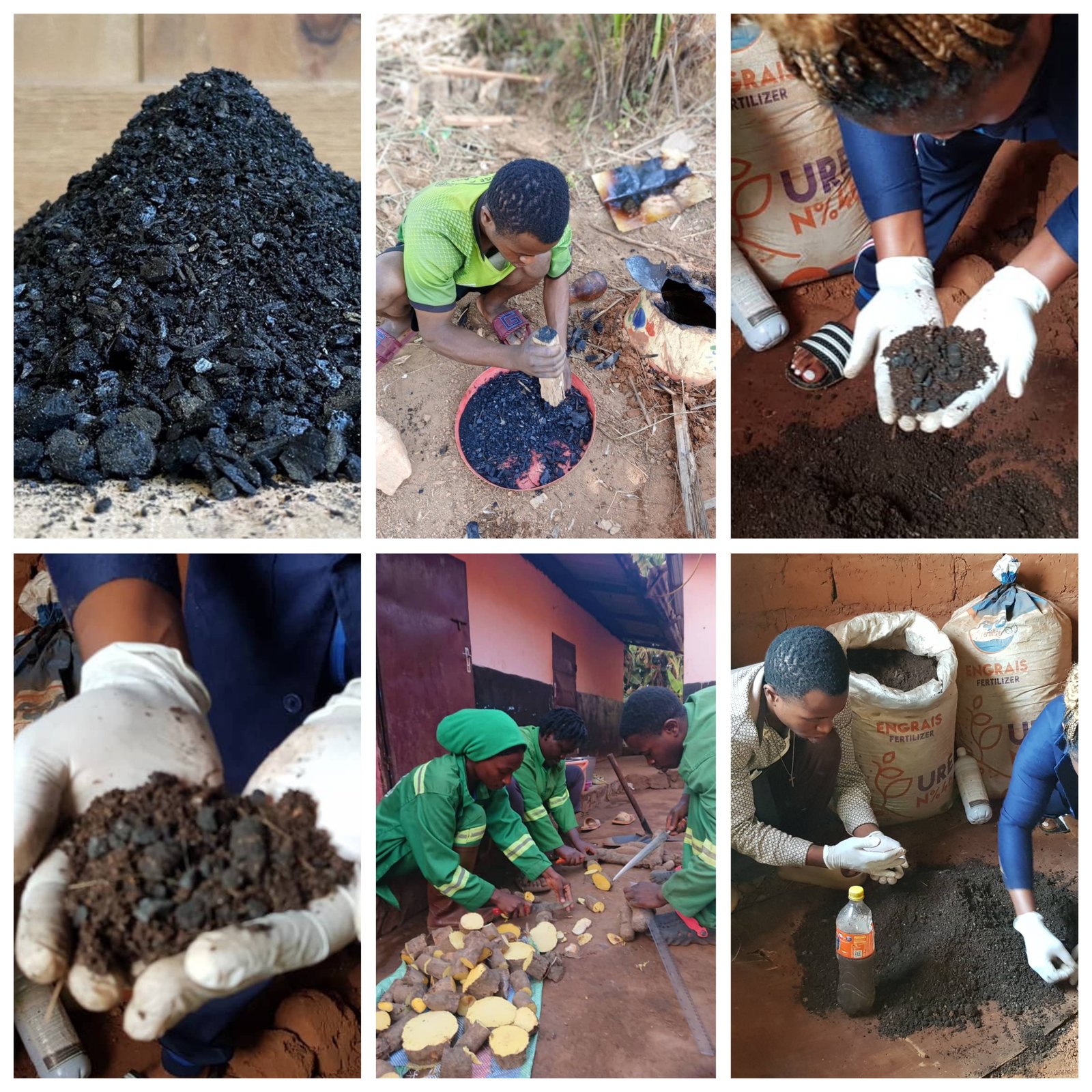 Livestock, Organics and Climate-Smart Farming—A Complete Farm System GridArt 20251104 2149480671