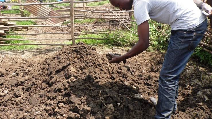 Regenerating Our Soils, Securing Our Future: RELN’s Climate-Smart mssion/Vision Images 51