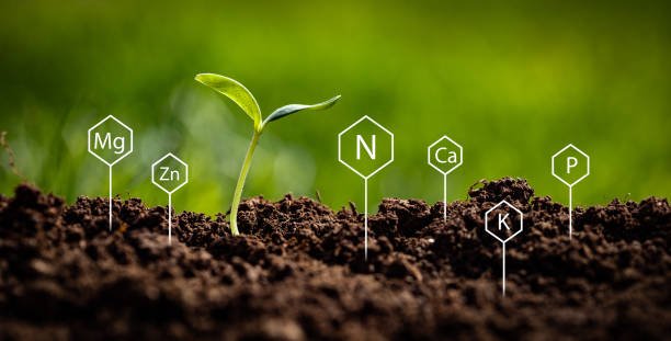 Building Climate-Smart Farms With O-Yield: Istockphoto 1390878032 612x6121 1